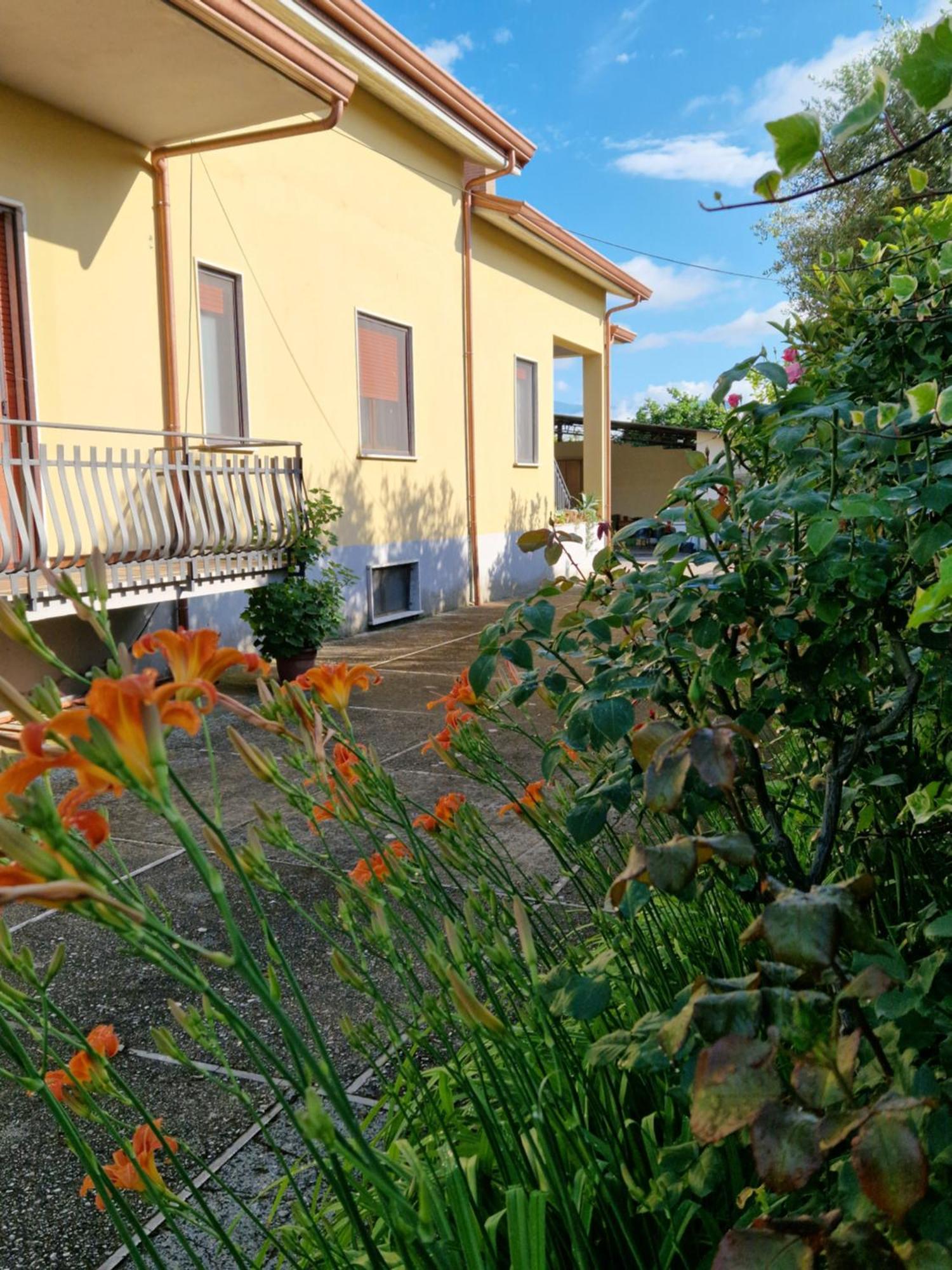Relax In Campagna - Aquino Apartment ภายนอก รูปภาพ